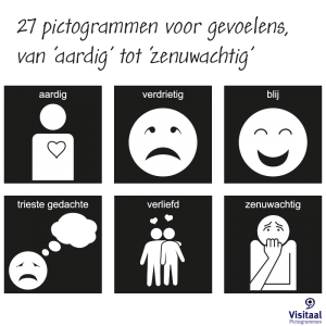 Visitaal Pictokaartjes Met Pictogrammen Voor Ondersteunde Communicatie